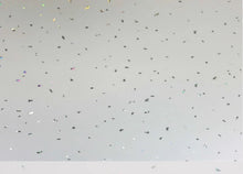 Load image into Gallery viewer, 1m WIDE PVC WETWALL 10mm thick